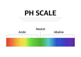 a ph escala universal indicador ph cor gráfico diagrama. vetor ilustração com ph escala.