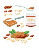 Vector amendoins inteiros e pedaços em estilo cartoon para modelo de etiqueta