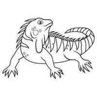 iguana dos desenhos animados isolada no fundo branco vetor