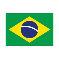 simples brasileiro bandeira ícone. vetor. vetor