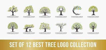 melhor conjunto de coleção de logotipo de árvore, perfeito para logotipos de empresas. vetor