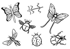 insetos e borboletas rabisco vetor conjunto
