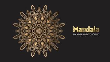 mandala design mandala vector round luxo design dourado brush text.