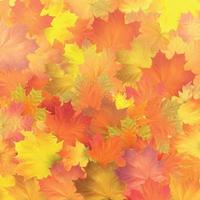 folhas de outono vermelhas, laranja, marrons e amarelas. vetor
