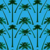 palm seamless pattern vetor