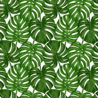 Monstera seamless pattern vetor