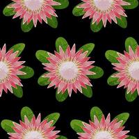 protea seamless pattern vetor