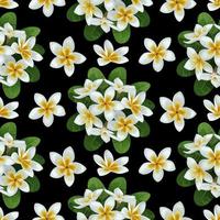 plumeria seamless pattern vetor