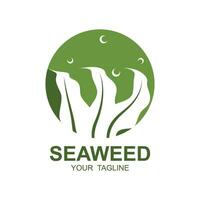 design de logotipo de algas marinhas, ilustração de plantas subaquáticas, cosméticos e ingredientes alimentares vetor