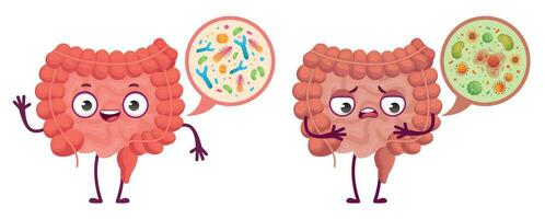 intestinal microflora. digestivo sistema Cuidado, intestinal bacterias e probióticos desenho animado vetor ilustração