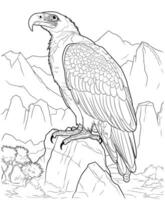 abutre e montanha coloração Páginas vetor