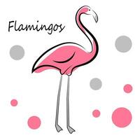 Rosa flamingo em branco fundo vetor