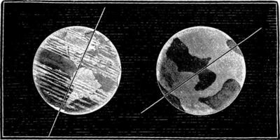 comparado inclinar do a eixo do a terra e Vênus eixo, vintage gravação. vetor