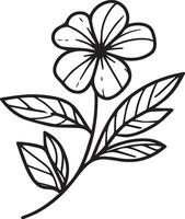 esboço do esboço pervinca flor coloração livro mão desenhado vetor ilustração artisticamente gravado tinta arte Flor pervinca flores, estético flor coloração Páginas isolado em branco fundo