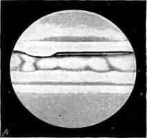 Júpiter é uma mundo dentro Está gênese, vintage gravação. vetor
