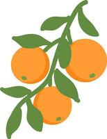 laranja ilustração vetor em branco fundo