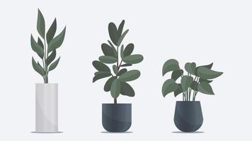 coleção de planta grande plana em um vaso. decoração de escritório e casa vetor