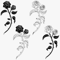 vetor Projeto do uma ramalhete do rosas, com folhas, pétalas e espinhos, presente para amantes, plantar para decoração