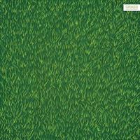 textura de grama de gramado verde para segundo plano. vetor. vetor