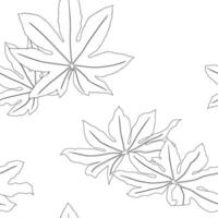 aralia folhas padronizar linha arte para decorar seu desenhos com tropical ilustração isolado em branco fundo vetor