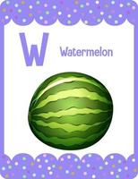 cartão do alfabeto com a letra w para melancia vetor