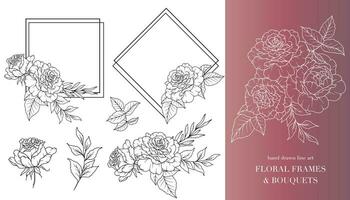 rosa flor linha arte. floral quadros e buquês linha arte. bem linha rosas quadros mão desenhado ilustração. mão desenhar esboço folhas e flores botânico coloração página. rosas peônia isolado vetor