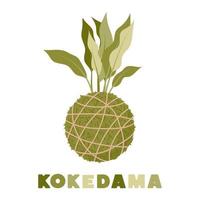 kokedama japonesa musgo ball plant. vetor