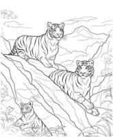 tigres montanha coloração página vetor