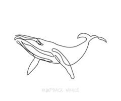 linha arte do corcunda baleia. fevereiro é corcunda baleia consciência mês vetor