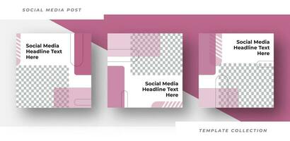 minimalista social meios de comunicação postar título texto aqui modelos. pró vetor