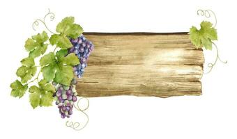 de madeira placas de sinal para uva plantações, vinhedos. madeira borda com cachos do uvas e folhas. tabuleta com videira. isolado aguarela ilustrações. para cartões postais, marketing, convites. vetor