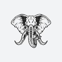 ilustração de cabeça de elefante vetor