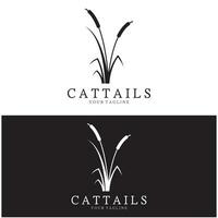 cattails ou rio cana Relva plantar logotipo projeto, aquático plantas, pântano, selvagem Relva vetor