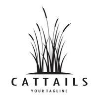 cattails ou rio cana Relva plantar logotipo projeto, aquático plantas, pântano, selvagem Relva vetor