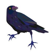 Raven. vetor isolado ilustração