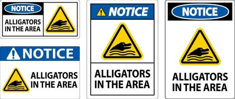 aviso prévio crocodilos dentro a área placa vetor