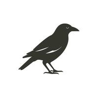 comum Raven pássaro ícone em branco fundo - simples vetor ilustração