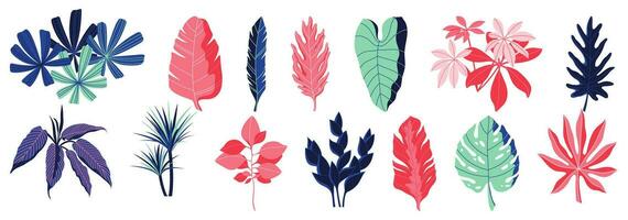 conjunto do tropical folhas e plantas. vetor ilustração.