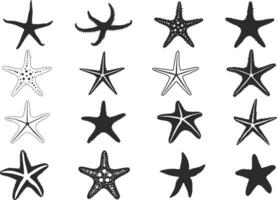 estrelas do mar silhueta, estrelas do mar ícone, estrelas do mar contorno, tropical estrela do Mar, estrelas do mar agrupar definir. vetor