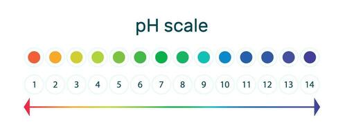 ph valor escala indicador gráfico para ácido e alcalino soluções. vetor ilustração