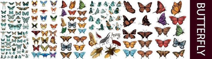 conjunto de borboletas de vetor realista.
