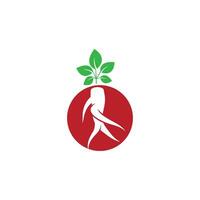 ginseng logotipo ícone vetor