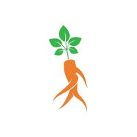 ginseng logotipo ícone vetor