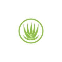 logotipo da aloe vera vetor