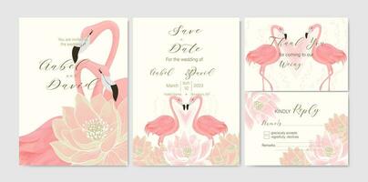 conjunto do Projeto fundos para Casamento e feriado cartões com Rosa flamingos e lótus vetor