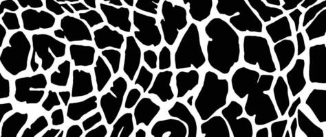 abstrato girafa pele padronizar fundo. abstrato arte fundo vetor projetar com animal pele, rabisco, Preto e branco. criativo ilustração para tecido, impressões, cobrir, invólucro papel, têxtil.
