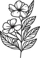 fofa crianças coloração Páginas, fácil pervinca desenho, pervinca flor Preto e branco ilustração, vinca contorno, catharanthus flor vetor arte, simples flor desenho, único flores coloração página