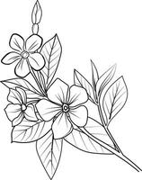 único flor coloração Páginas, desenhado à mão vetor ilustração do uma jardim variedade do catharanthus e esboço ilustração, pervinca flores parede decoração, Madagáscar pervinca arte impressão