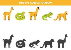 encontrar sombras do fofa sul americano animais. educacional lógico jogos para crianças. vetor