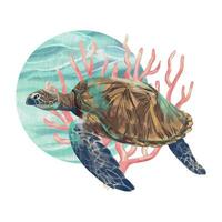 mar tartaruga, Rosa corais. vetor mar ilustração dentro aguarela estilo. Projeto elemento para cumprimento cartões, convites, capas, temático folhetos e bandeiras.